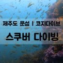 코지다이브