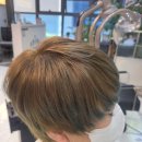 제이브라운 이미지