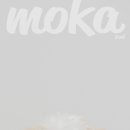 백제카인테리어 | 강아지도 행복했던 서울 송파 서울 송파 반려동물 프로필 스튜디오