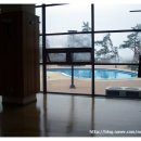 오션스파랜드 이미지