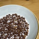 트윈즈하우스 이미지