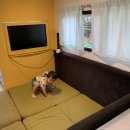 마노힐링캠프 이미지