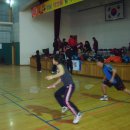 고원초등학교 이미지