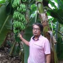 지우네 농장 이미지