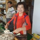 백년 농장 이미지