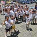 Only원태권도 이미지