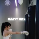 세인트복싱 이미지