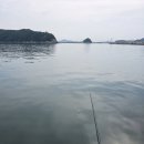 처음맛처럼 티스토리