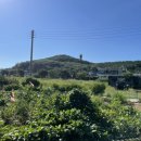 바다뜰이야기펜션 | 운전 초보 병아리의 1박 2일 제부도 여행