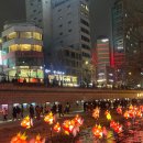 황금비늘 | 청계천 잉어킹 빛초롱축제 야경 후기｜메타몽·황금잉어킹