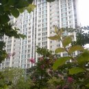 신성대림공인중개사사무소 이미지