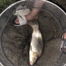 장전낚시터 이미지