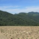 경보목장 이미지