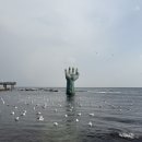 성일사세탁 | 포항 구룡포 과메기 포장 맛집, 포항 숙소 추천, 겨울 호미곶 후기