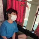 용인대 한라태권도 이미지