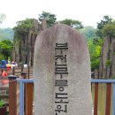 마치무릉도원