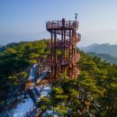 소백산오토캠핑장 이미지
