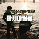 서울 야외웨딩스냅 마지아필름 동작대교 촬영 내돈내산 후기