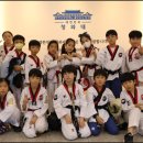 대망(태권도) 이미지