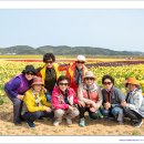 대야농협 이미지