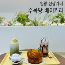 반자주 일광신도시점 | 일광 신상카페 수목당 베이커리, 오션뷰 디저트 맛집