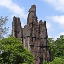 트루러브 이미지