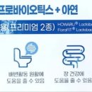 메타메디팜 이미지
