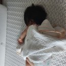 따듯한오후 낮잠소리 이미지