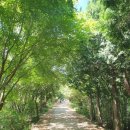 상주면경로식당 | [남해] 보리암 +금산산장 : 초등아이와 여름휴가 ! 극락전 포토존과 금산산장 &#39;컵라면 &#39;후기