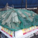 한반도면-3 이미지