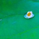 웰리치공인중개사사무소 이미지