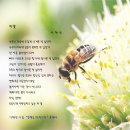 초심으로 돌아갑시다(116)//세상의 바보들을 보고 웃는 방법 - 강인환 / 이채민 시 한 편 이미지