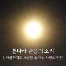 봄나라 관음의 소리 이미지