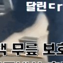 석동목장 네이버블로그