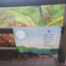 고요한 호수에도 물결은 인다. 부여 옥산 호수정원.진달래 관광농원. 이보다 더 아름다울 순 없다. 사람...