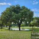 송학영무예다음2차 이미지