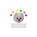 (주)루이션