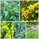 전주이씨 상원군 이세령가문 충신열녀정려편액 이미지