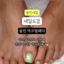 네일도감