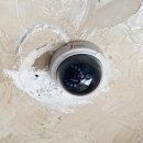 스테이 휴 이미지