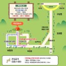 옥당걸숲속 | 옥당걸 숲속캠핑장 자연 속에서 힐링한 순간들
