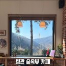 봄 숲으로 가자 | 정관 병산 카페 숲속 뷰를 즐길 수 있는 빵드마망 아이랑 방문 후기