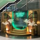 29170-1-A-11 | 뮤지컬 위대한 개츠비 내한공연 gs 아트센터 1층 A블록 11열 시야 관람후기 주차정보