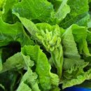 수덕골미락 이미지