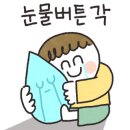 독도게스트하우스 이미지