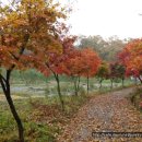 안의택배 이미지