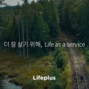 벚꽃플러스 이미지