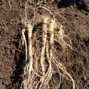 으뜸농장 2 이미지