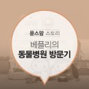 윤쌤동물병원 이미지