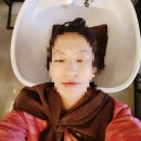 내가본미장원
